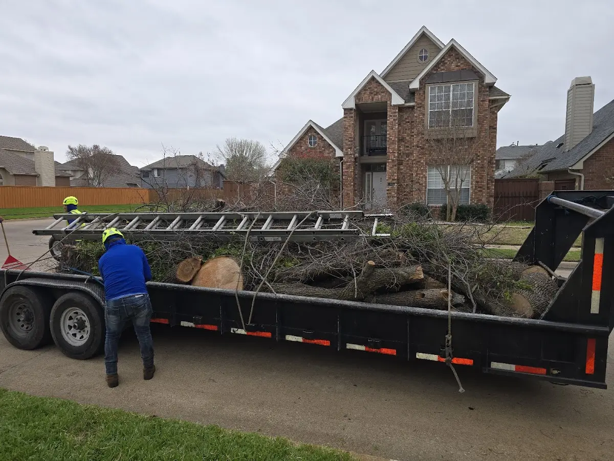 Expert Tree Pest Control with proper safety equipment in New Vienna